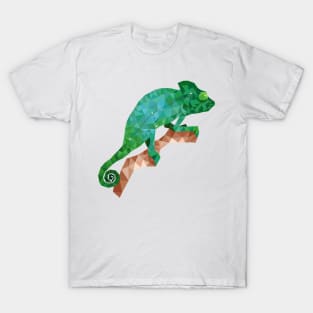 The chameleon constellation T-Shirt